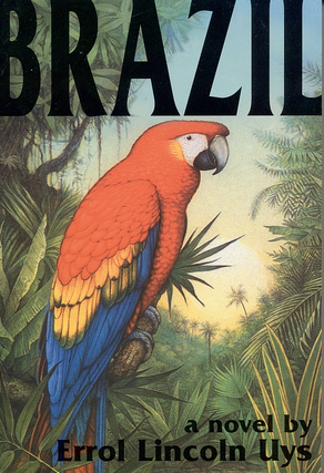 Brazil: a novel and...Twitter feed? Vook